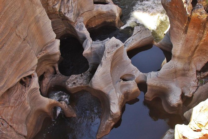 4 Day Kruger National Park and Panorama Route Safari - Guide Matters: When Michael Helps You See More Than You Expected
