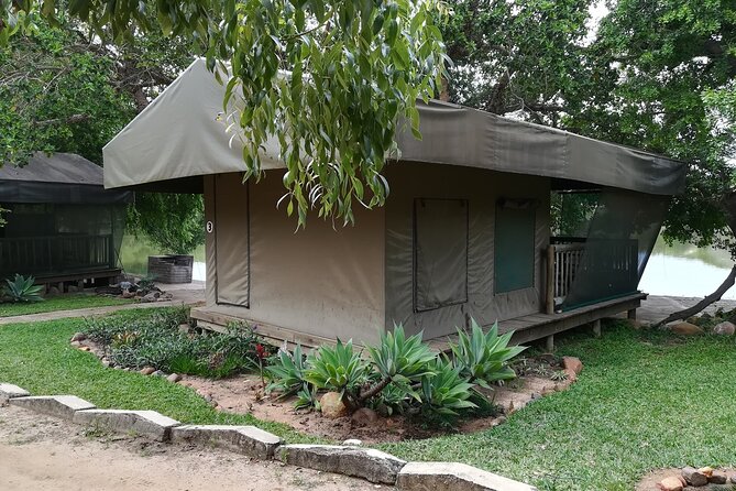 4 Day Kruger National Park Tour - Day 2 full day in Kruger from Orpen Gate: best odds for the Big Five