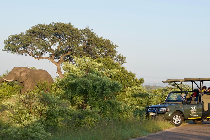 4-Day Kruger Park Safari & Panoramic Tour Combo including Breakfast and Dinner - Why this Kruger plus panorama combo feels practical