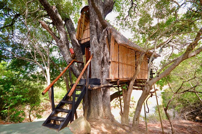 4 Day Lodge and Treehouse Kruger National Park Safari - Arrival day from Johannesburg: Balule and a sunset-night drive