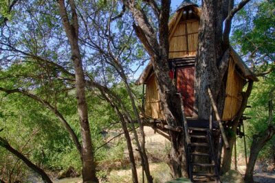 4 Day Lodge and Treehouse Kruger National Park Safari