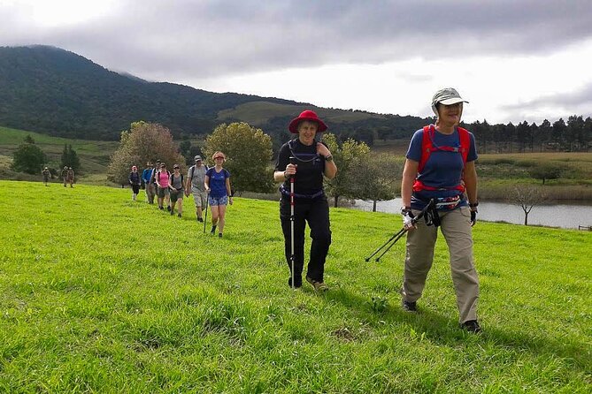 4-Day Private Natal Midlands Falls to Falls Tour - Key highlights before you go