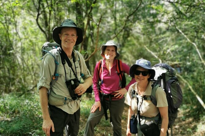 4-Day Private Natal Midlands Falls to Falls Tour - Day 4: uMngeni valley tree trail, animal spotting, and Howick Falls at the finish