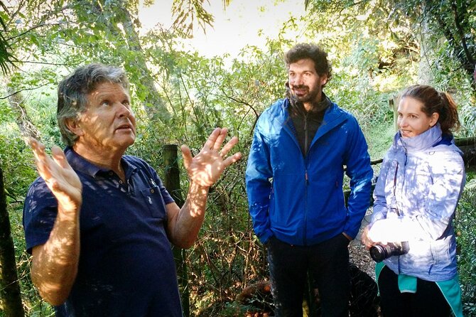4-Day Private Natal Midlands Falls to Falls Tour - Who this fits best, and who might want a different plan