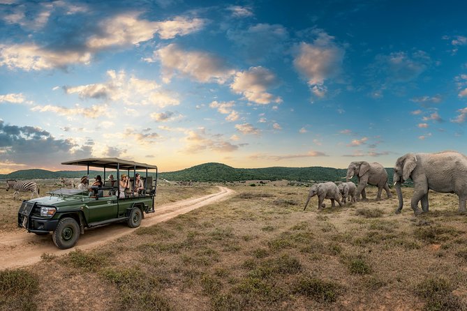 4 days Kruger Park Big 5 Safari and Awesome Panorama Route - Big Five in Kruger, plus Panorama Route viewpoints in one 4-day push