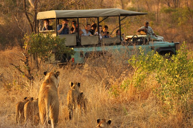 4 Days Radisson Kruger Safari Tour from Johannesburg - Kruger National Park at early hours, then a full open-vehicle day