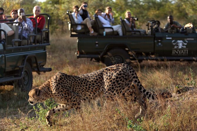 4 Days Radisson Kruger Safari Tour from Johannesburg - What’s actually included, and what you’ll need to budget