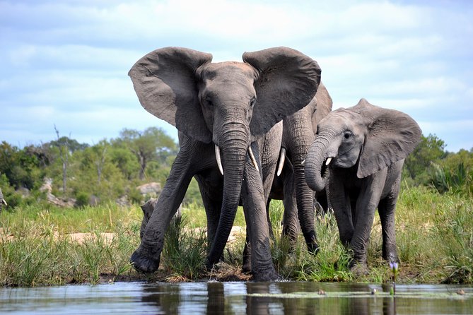 4 Night Kruger safari and Blyde Canyon - Day 4: Morning Kruger drive, then Blyde River Canyon viewpoints
