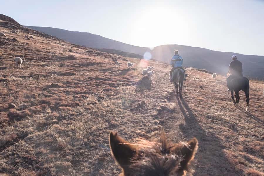 4x4 into Lesotho From Underberg - Horse Ride / Village Life - Optional Basotho Pony Trek: A Different Kind of Adventure