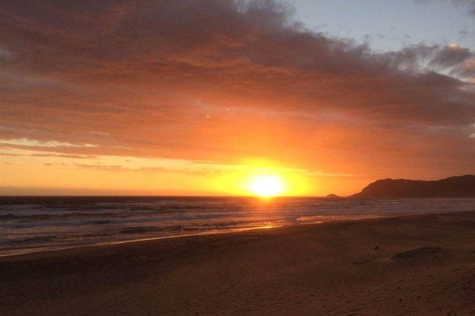 5 Day Cape to Addo Safari - Garden Route Small Group Tour - Day 5: Oudtshoorn and Cango Caves, the rock wonder after safari
