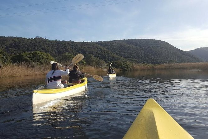 5 Day Cape to Addo Safari - Garden Route Small Group Tour - Guides, group vibe, and why this matters more than it sounds