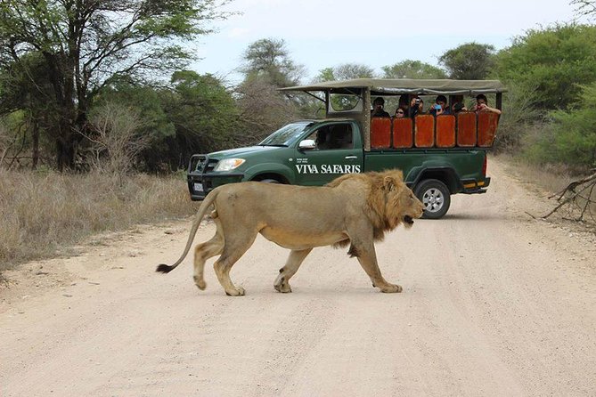 5 Day Classic Kruger National Park Safari - Why this Kruger safari feels “classic,” not rushed