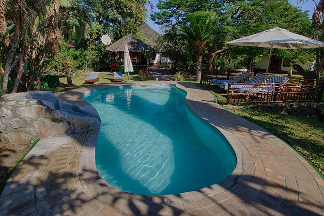 5 Day Classic Kruger National Park Safari - Tremisana and Balule Game Reserve: great base, great odds