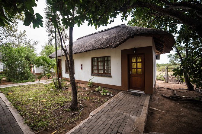 5 Day Classic Kruger National Park Safari - Day 2: Olifants River bush walk, then a sundowner drive