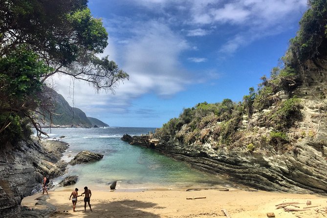 5-Day Garden Route & Addo Adventure from Cape Town to Port Elizabeth - Route 62 wine tasting and the Klein Karoo ostrich farm stop