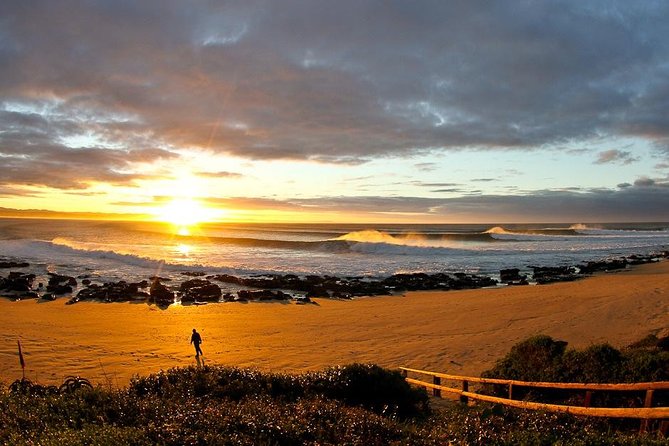 5 Day Garden Route Tour - Port Elizabeth to Cape Town - Day 2: Tsitsikamma National Park for big scenery time