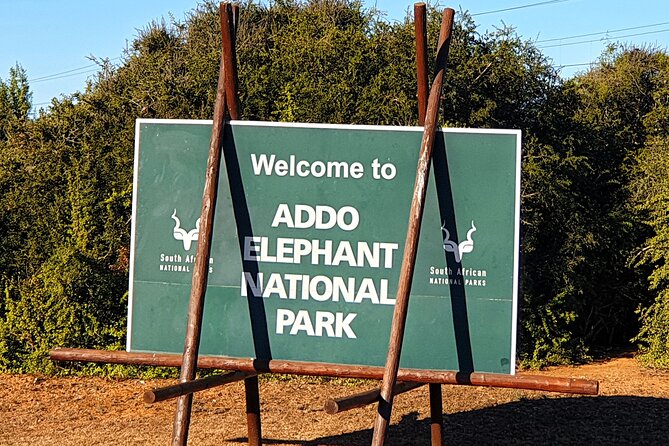 5 Day Garden Route Tour - Port Elizabeth to Cape Town - Day 4: Barrydale and Route 62 quirks, then Tradouw Pass