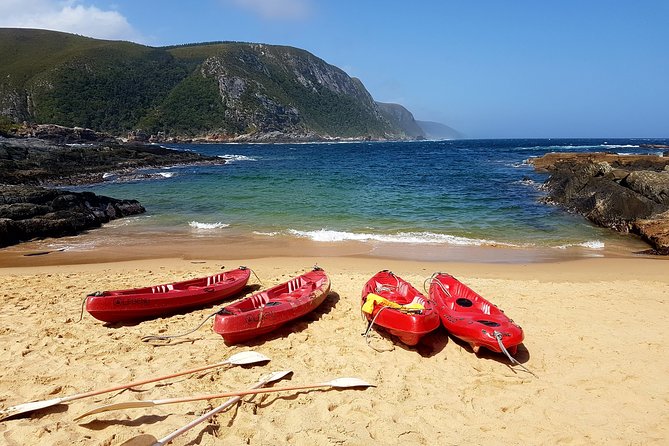 5 Day Garden Route Tour - Port Elizabeth to Cape Town - Pickup, small groups, and how the day flow actually works