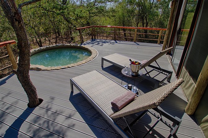 5 Day Katekani Lodge Kruger National Park Safari - The animal-watching and guide narration part that actually changes the trip