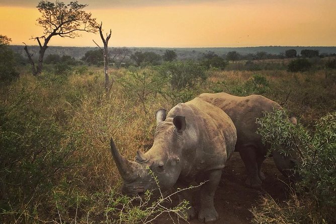 5 Day Kruger National Park and Panorama Route Safari - Key Things That Make This Safari Feel Like Good Value