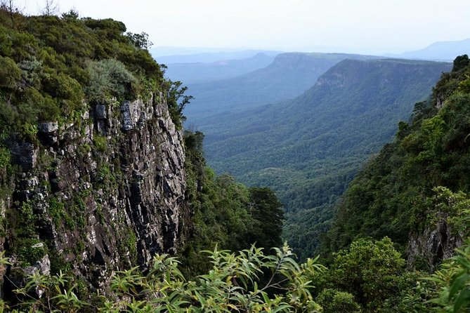 5 Day Kruger National Park and Panorama Route Safari - Day 3 Panorama Route: Gods Window, Three Rondawels, and Bourke Luck Potholes