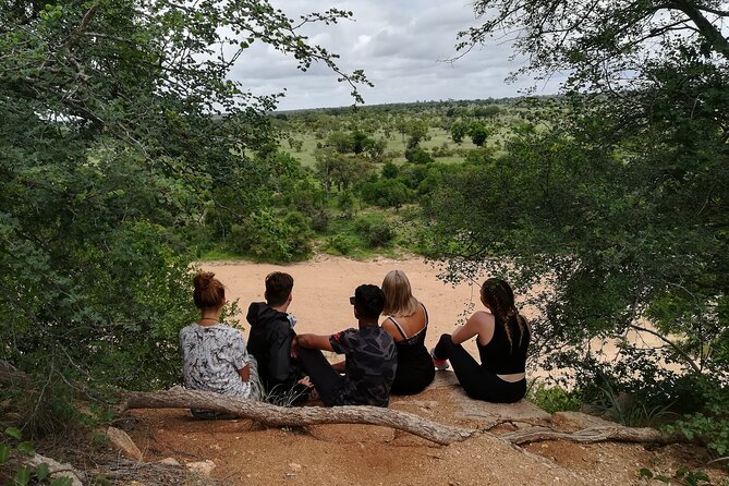 5 Day Kruger National Park tour - Day 1: Arrival energy, then a proper sunset safari