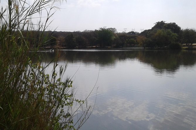5 Day Kruger National Park tour - Camp life in Greater Kruger: comfort with the right timing