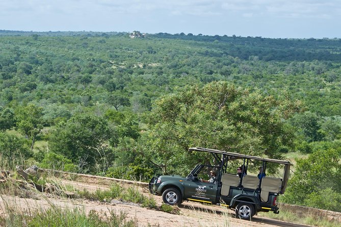 5-Day Kruger Park Safari & Panoramic Tour Combo including Breakfast and Dinner - Day 4 Another Full Kruger Safari, Different Routes, Same Goal
