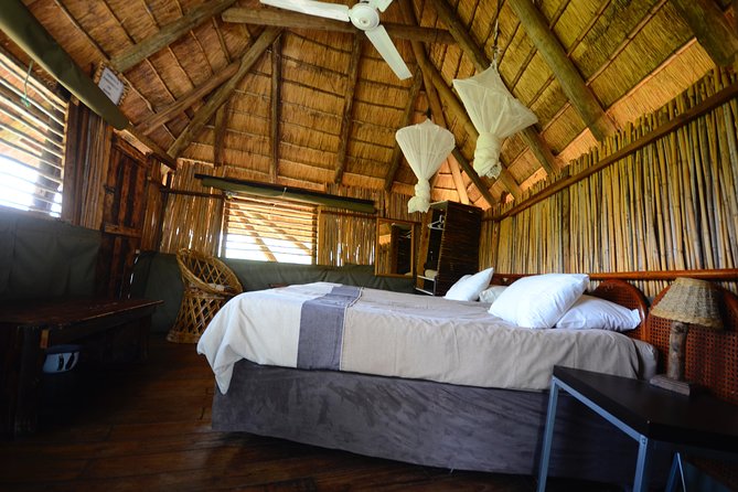 5 Day Lodge and Treehouse Kruger National Park Safari - The wildlife experience you’re actually buying: timing, vehicles, and guides