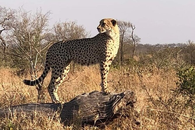 5 Day Ultimate Kruger National Park Budget Accommodation - Matsamo Cultural Village, Swazi Dance, Then Into Kruger
