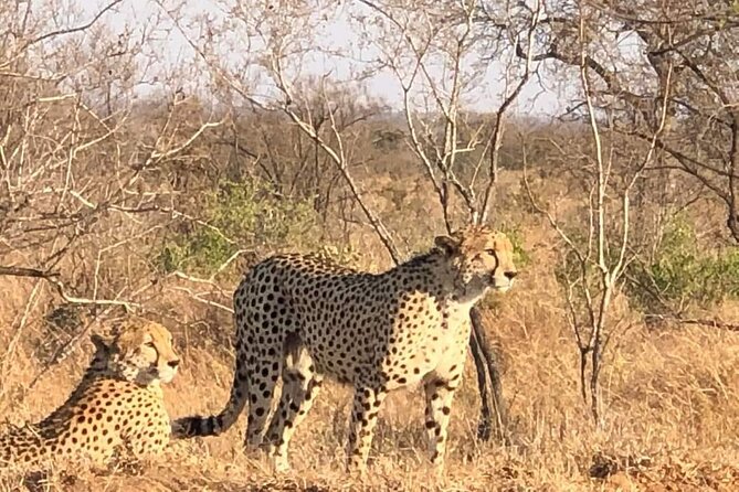 5 Day Ultimate Kruger National Park Budget Accommodation - Panorama Route Day 4: God’s Window, Lisbon Falls, Potholes, Blyde Canyon