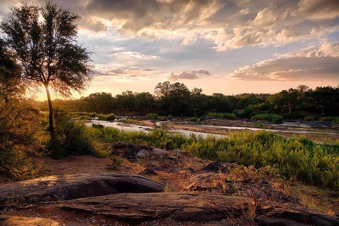 6 Day Budget Kruger National Park Safari - Moholoholo Wildlife Rehabilitation Centre: conservation you can see
