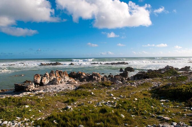 6-Day Garden Route & Addo South African Adventure from Cape Town - Key things that make this Garden Route and Addo trip tick