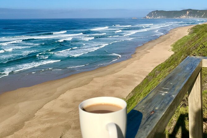 6-Day Garden Route & Addo South African Adventure from Cape Town - Day 4: Tsitsikamma with Bloukrans Bridge, the suspension bridge, and bungy choices