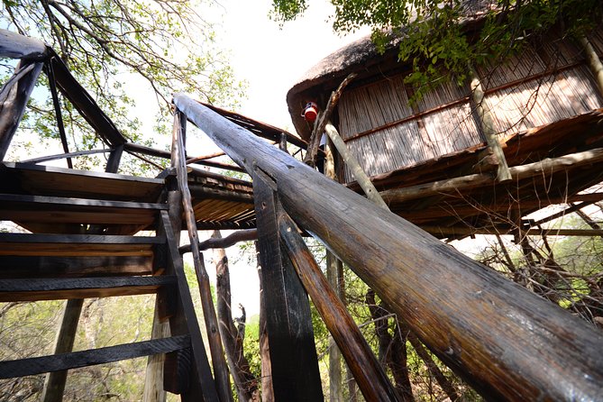 6 Day Lodge and Treehouse Kruger National Park Safari - Why this Kruger lodge and treehouse safari fits a 6-day trip