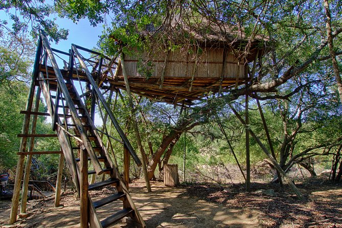 6 Day Lodge and Treehouse Kruger National Park Safari - Motlala early walk and the Blyde River Canyon Three Rondawels