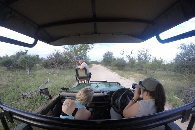 6 Day Lodge and Treehouse Kruger National Park Safari - Day 2 in Balule: the 4-hour armed bush walk you will remember