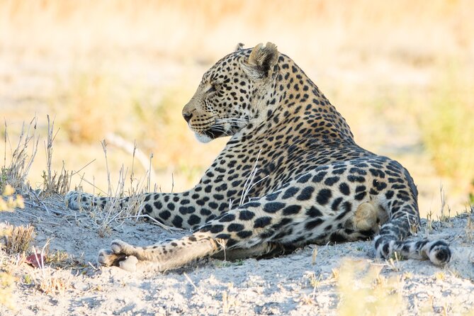 6 Hour Pilanesberg Open Vehicle Safari from Johannesburg - Stop 1 in Johannesburg: pickup plus a quick, useful briefing