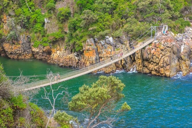 7-Day Garden Route Safari Adventure from Cape Town - Day 6: Tsitsikamma zipline, Bloukrans Bridge bungee, and quad biking