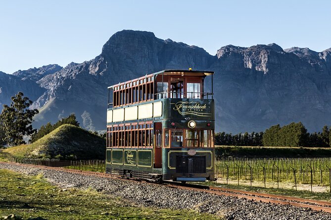 7 Day Garden Route to Addo, Cape Point and Winelands Combo tour - Tsitsikamma and Bloukrans Bridge: adrenaline options with weather reality