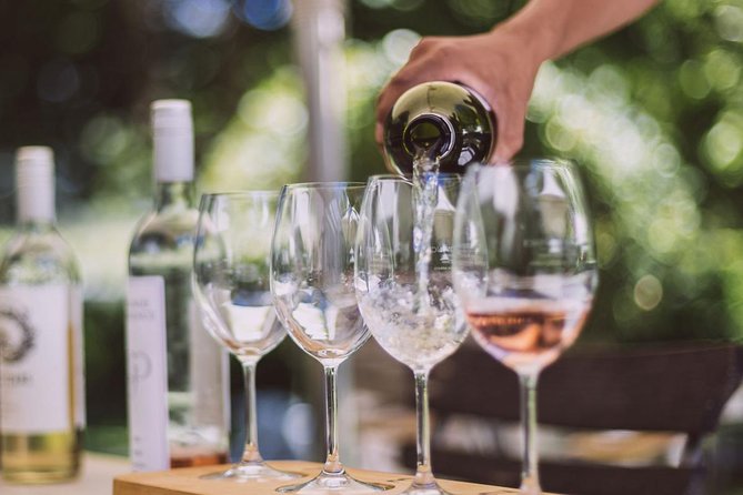 7 Day Garden Route to Addo, Cape Point and Winelands Combo tour - Day-by-day: Route 62 wine country and Oudtshoorn’s Klein Karoo start
