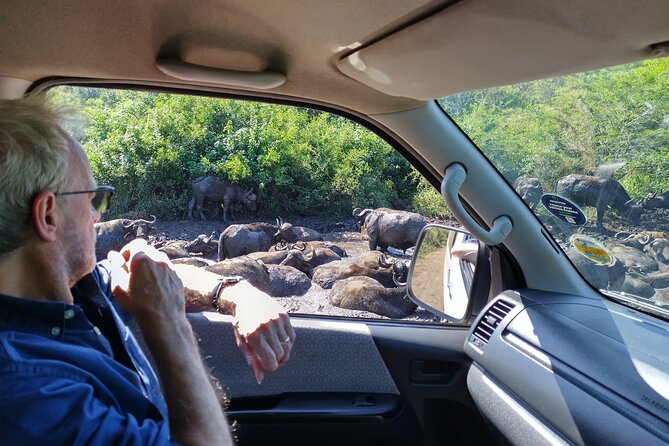 A Full Day Safari Tour to the Hluhluwe Imfolozi Big 5 Game Reserve - Food and comfort: plan for the one missing piece, lunch