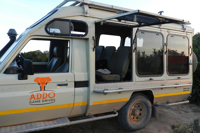 Addo Elephant 5 hour Morning Safari. - Getting from Port Elizabeth to Addo, without the headache