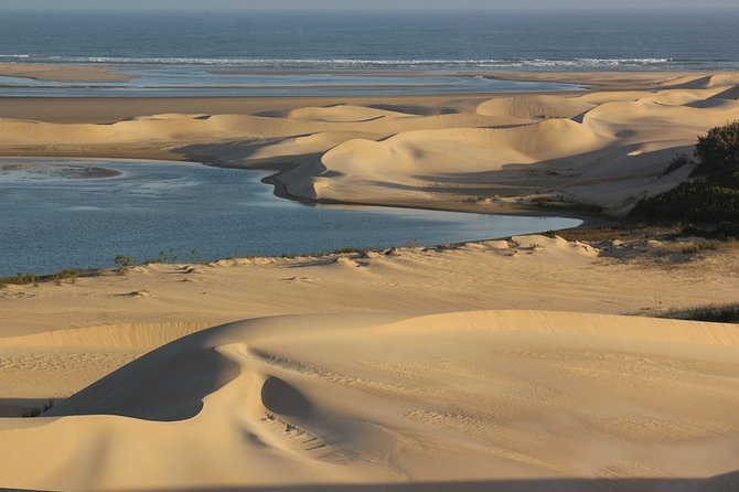 Addo Elephant National Park and Sunset River Cruise - FD04 - Vehicle expectations: 4x4 hopes versus real logistics