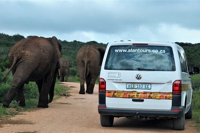 Addo Elephant National Park from Port Elizabeth - FD01 - Who this tour suits best, and who should rethink it