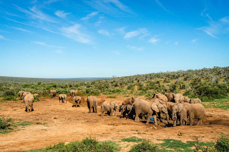 Addo Elephant National Park Full Day Safari with Braai Lunch - Tea and coffee at the marine viewpoint: a break that gives perspective