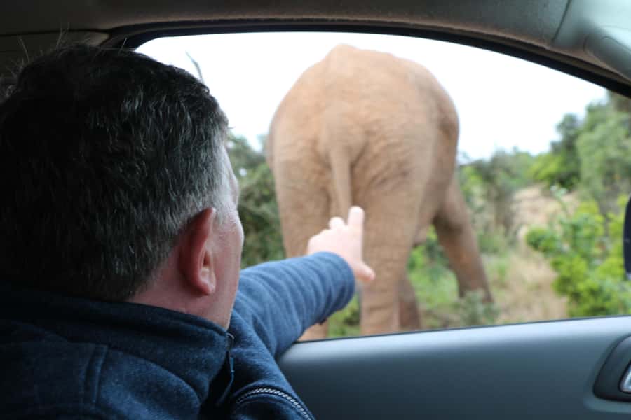 Addo Elephant National Park Game Drive Day Tour With Lunch - Who This Tour Fits Best (and Who Might Want Alternatives)