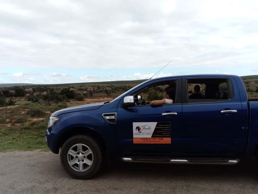 Addo Elephant National Park Game Drive Day Tour With Lunch - Refreshment Break at a Lookout, When Timing Becomes Comfort