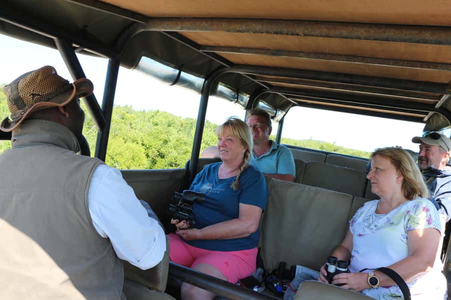 Addo Elephant National Park Game Drive Day Tour With Lunch - Lunch Inside Addo: Braai BBQ Over Fire, or a Restaurant Plan B