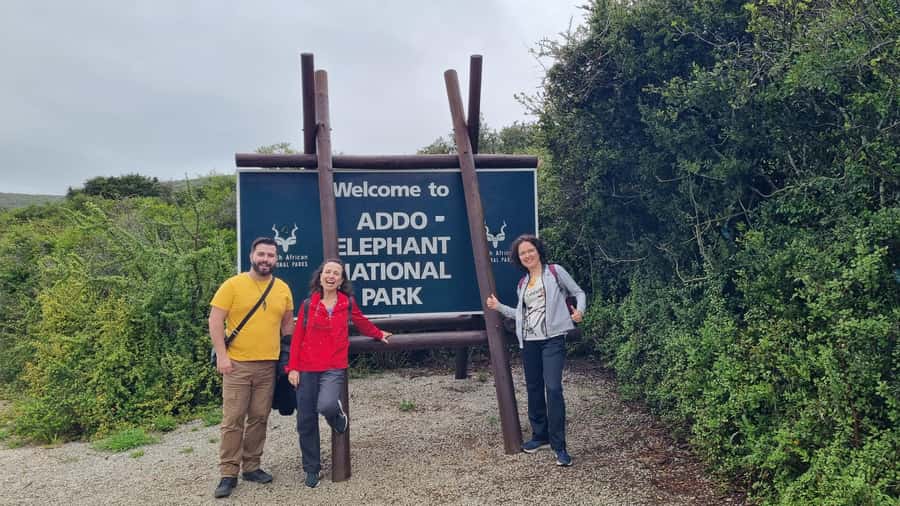 Addo Elephant National Park Private Full-Day Safari - The southern sector in the morning, thickets and search patterns